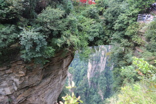山间瀑布旁的葱郁景致
