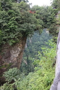 山间峡谷绿意盎然景观