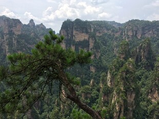 张家界奇峰异松美景