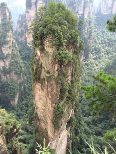 张家界奇峰 绿意盎然景观