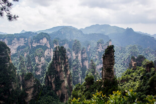 张家界奇峰景观