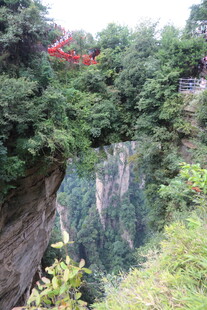 山间飞索穿梭于翠绿山林