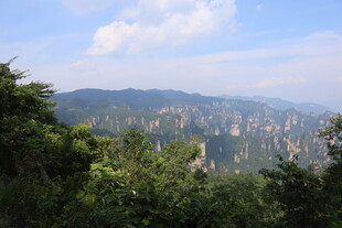 山峦叠翠间的绿意景致