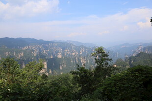 壮丽山峦间的葱郁景致