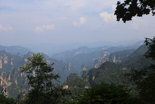 壮丽山峦间的葱郁景色