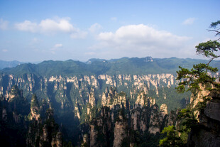 张家界奇峰美景