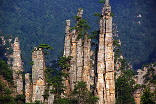 张家界奇峰林立景观