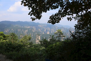 山间绿意盎然的自然景致