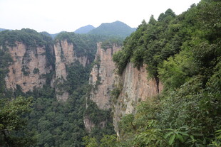 壮丽山景 绿意盎然的悬崖