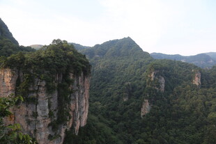 壮丽山景 悬崖绿植覆盖