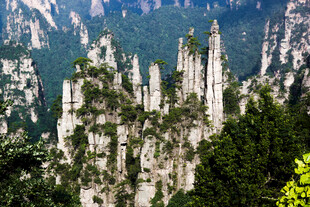 张家界奇峰林立美景