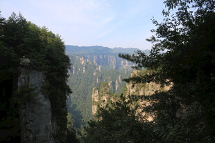 壮丽山谷间的山林美景