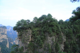奇峰绿植的壮美山景