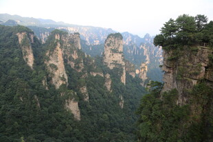 张家界壮观奇峰景色