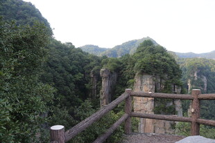 山间木栏旁的葱郁景致