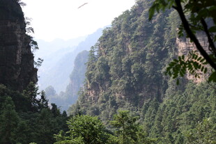 壮丽山景 绿意盎然的峡谷