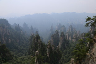 张家界奇峰美景