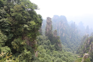 张家界奇峰绿树景观