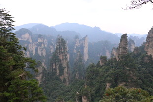 张家界奇峰林立美景