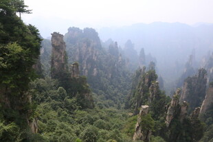 张家界奇峰林立美景