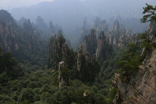 张家界奇峰林立美景