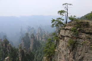 悬崖孤松 壮美山川景色