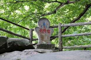 林间石碑 古朴自然景致