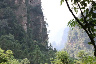 山间绿意盎然的壮丽峡谷