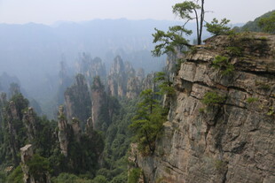 悬崖边的山林壮丽景观