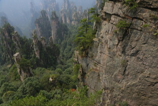 张家界奇峰峻岭美景