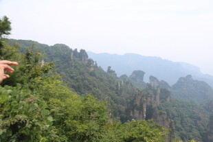 壮美山林景观