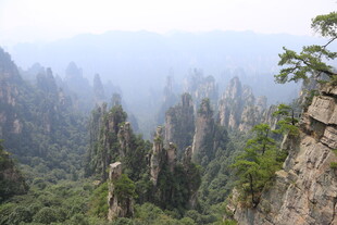 张家界奇峰美景