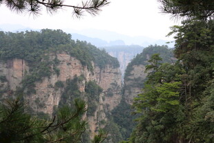 张家界壮丽峡谷景观