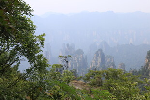张家界奇峰美景