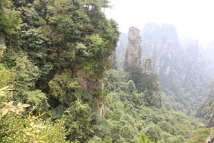 奇峰林立的壮美山林景观