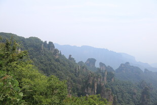 山林景色远眺