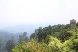 山间亭阁 隐于葱茏绿意