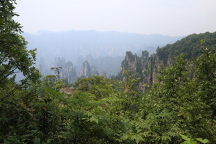 张家界奇峰间的绿意景致