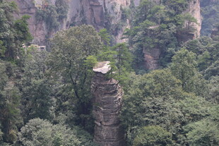 奇峰屹立于葱郁山林间