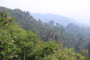 壮丽山林景观