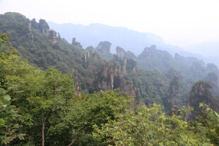 张家界奇峰异林美景