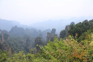 壮美群山绿意浓