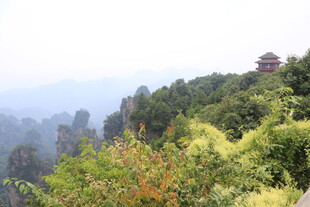 山间葱郁景色与亭阁