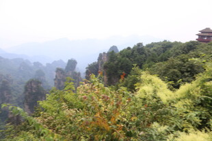 山林间的秀丽景致