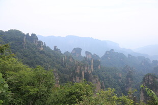 壮美山林景观