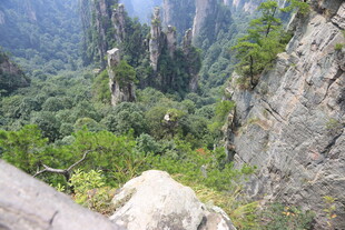 张家界奇峰异林景观