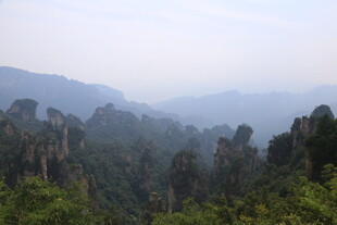 山林景观 绿意盎然的自然