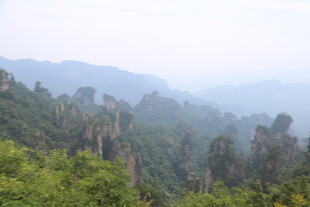 壮美山林景观