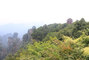 山间美景 古亭隐于葱郁间