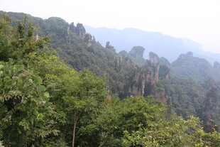 山林葱郁的自然美景